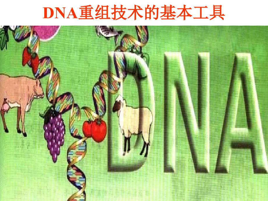 DNA重组技术的基本工具(人教赵)_第1页