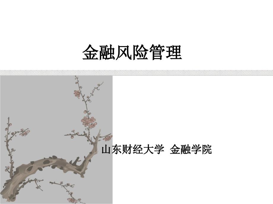 XXXX金融风险管理金融风险管理概述_第1页