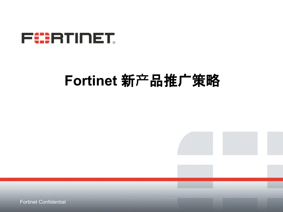 Forine新产品推广策略论述_第1页