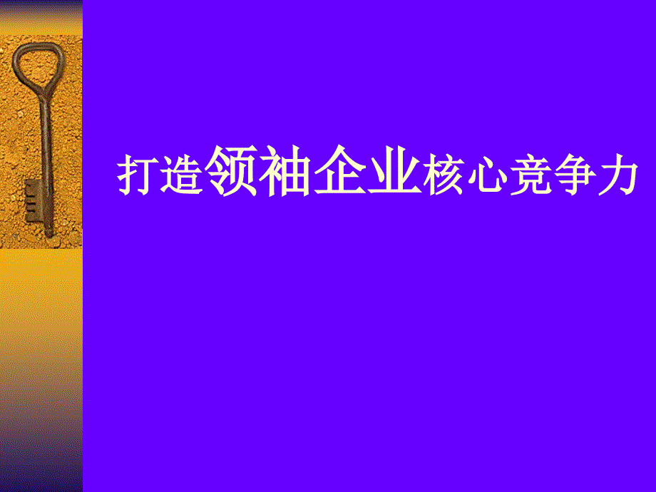 打造领袖企业核心竞争力_第1页