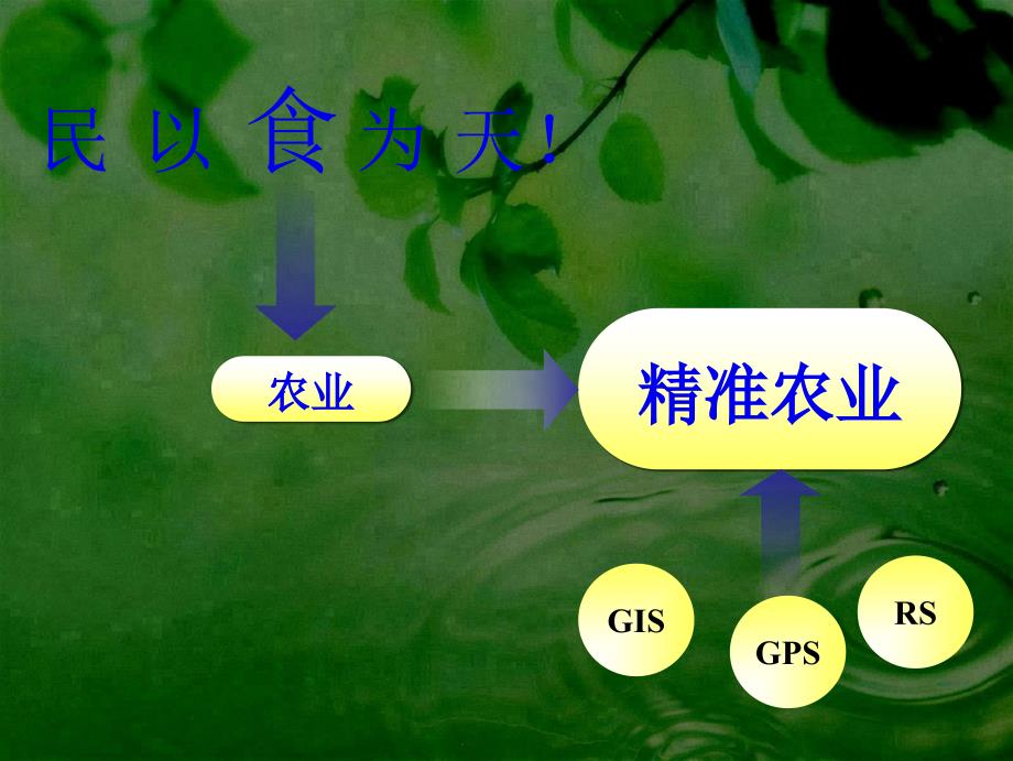 精准农业与3S技术_第1页