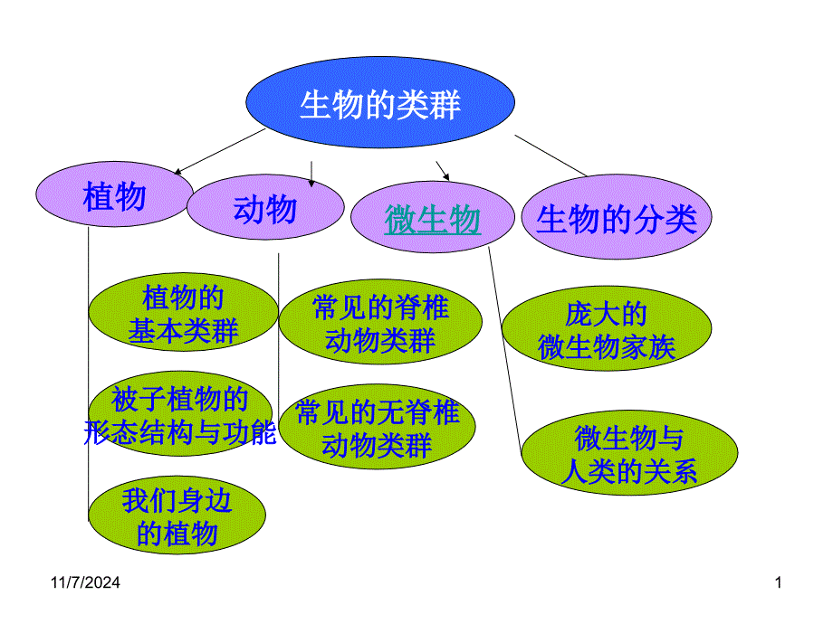 藻类植物、苔藓植物_第1页