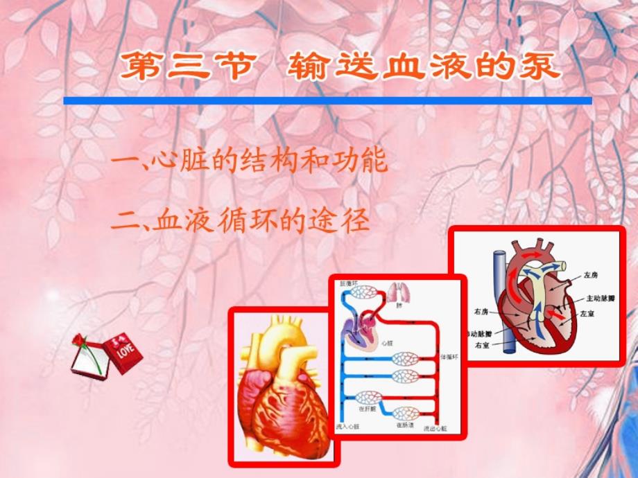 第三节　物质运输的途径_第1页