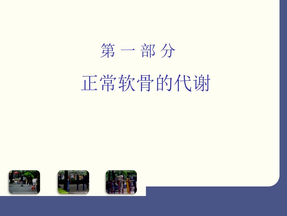 骨关节炎病理作用及硫酸氨基葡萄糖钾药理作用_第1页