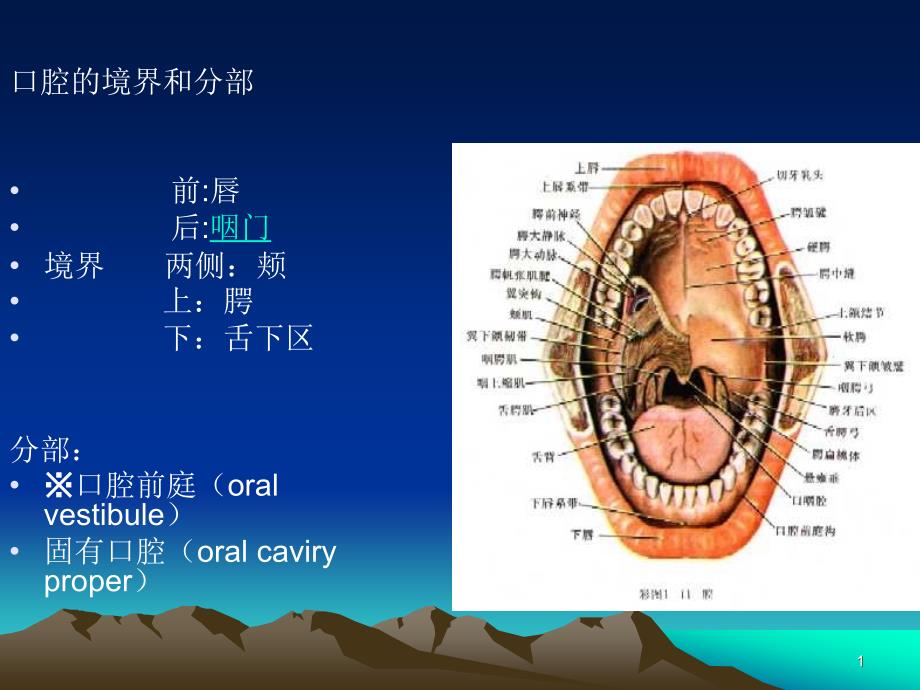 口腔科学概论教学课件_第1页