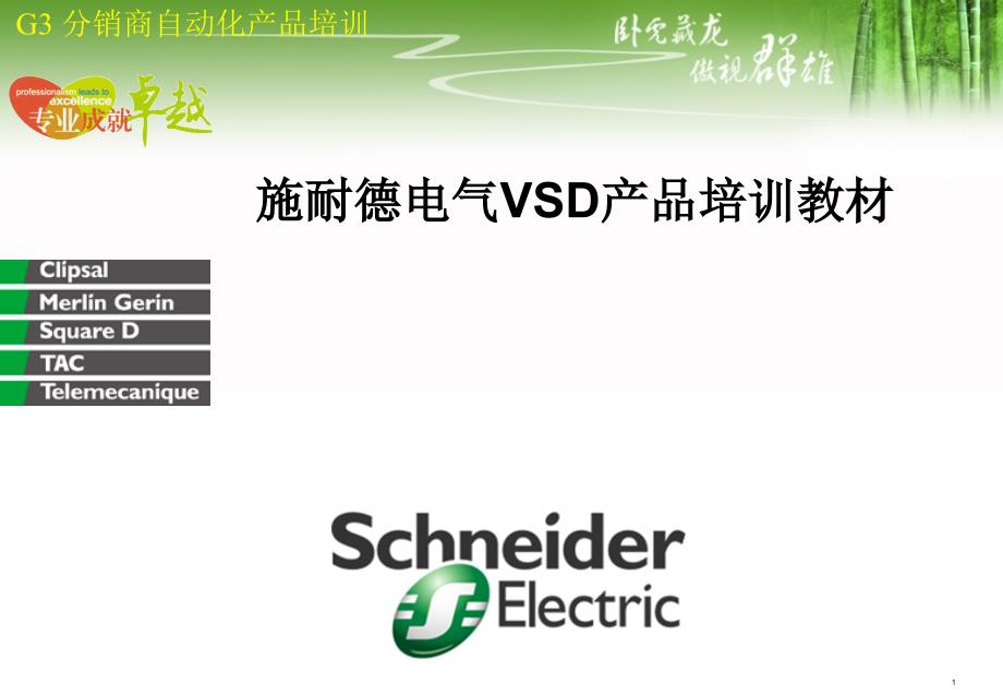 施耐德电气VSD产品资料_第1页