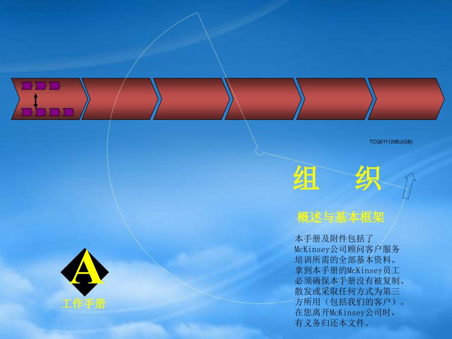 某咨询组织咨询培训手册_第1页