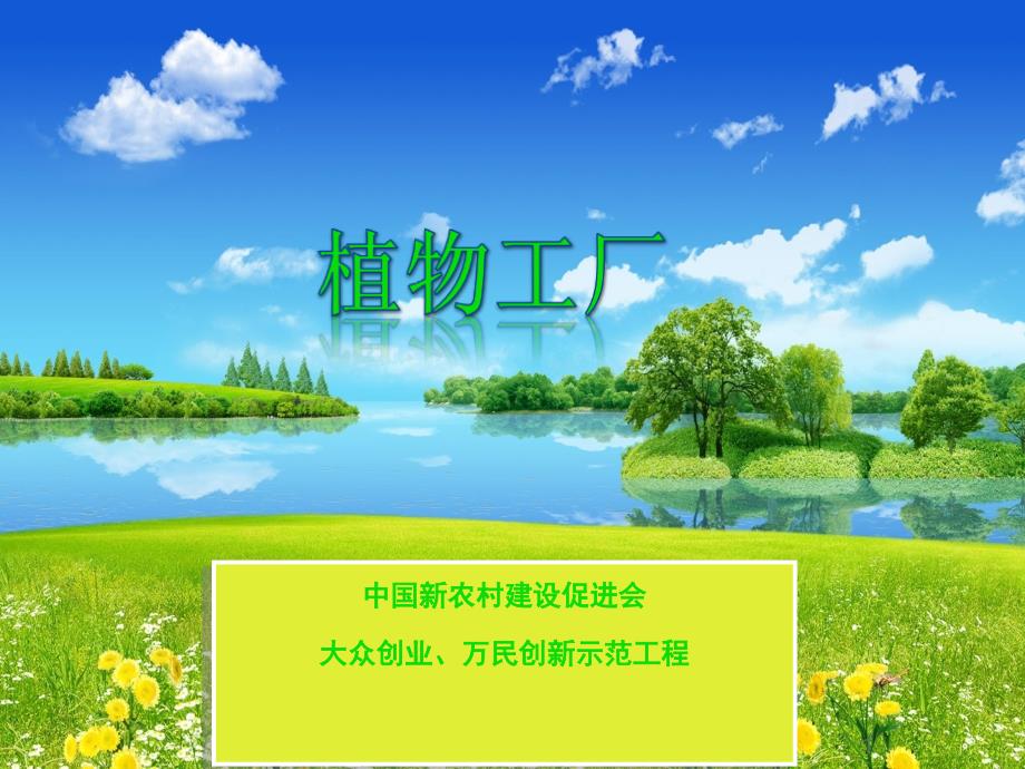 万家植物工厂创业计划_第1页