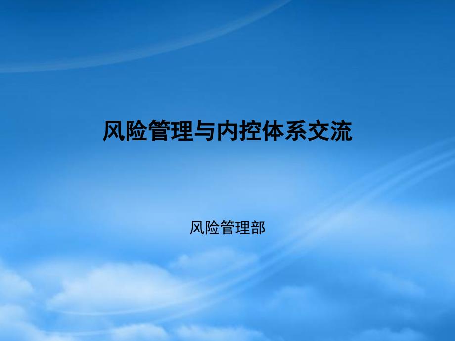 某公司风险管理与内控体系交流报告flyonsky_第1页