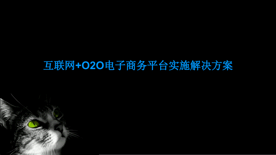 互联网+OO电子商务平台实施解决方案_第1页