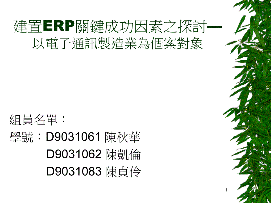 某电子通讯制造业ER关键成功因素点评_第1页