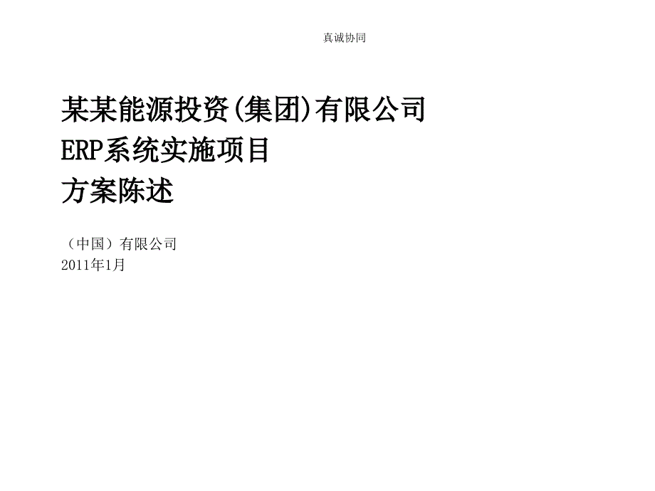 某某能源ER系统实施项目方案_第1页