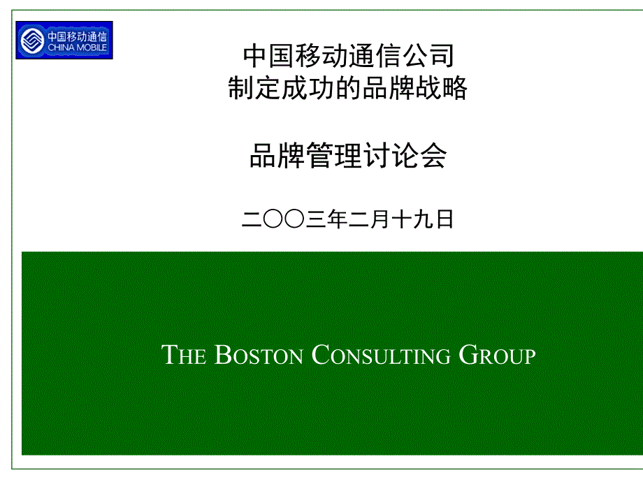 某通信公司制定成功的品牌战略讨论会_第1页