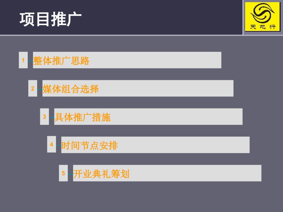 涡阳项目前期策划报告最新_第1页