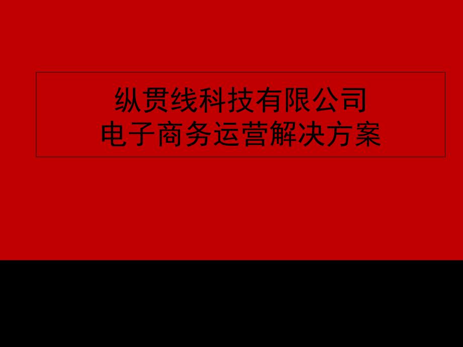 淘宝电子商务运营解决方案_第1页