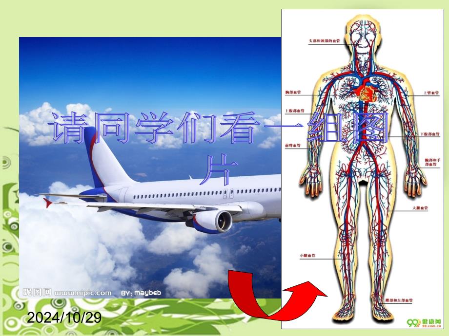 流动的组织__血液比赛_第1页