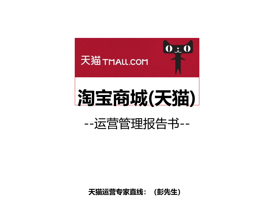 淘寶商城運營策略報告書修改_第1頁