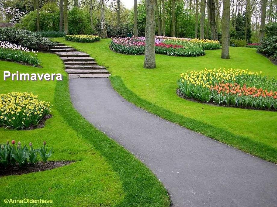 欧美园林美景：百花盛开的春季rimaveraceclia_第1页