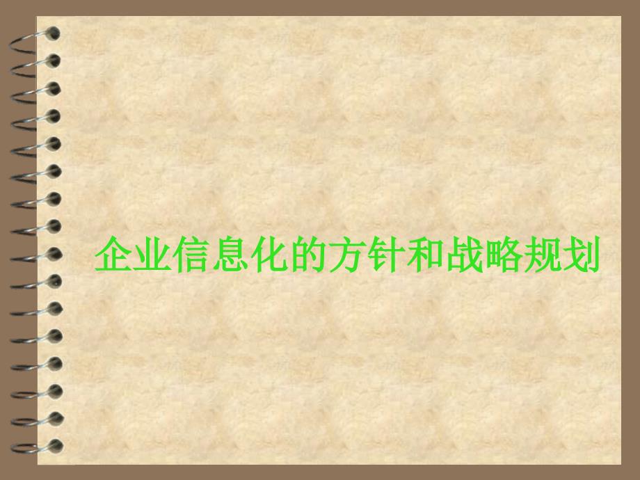 企业信息化的方针和战略规划_第1页