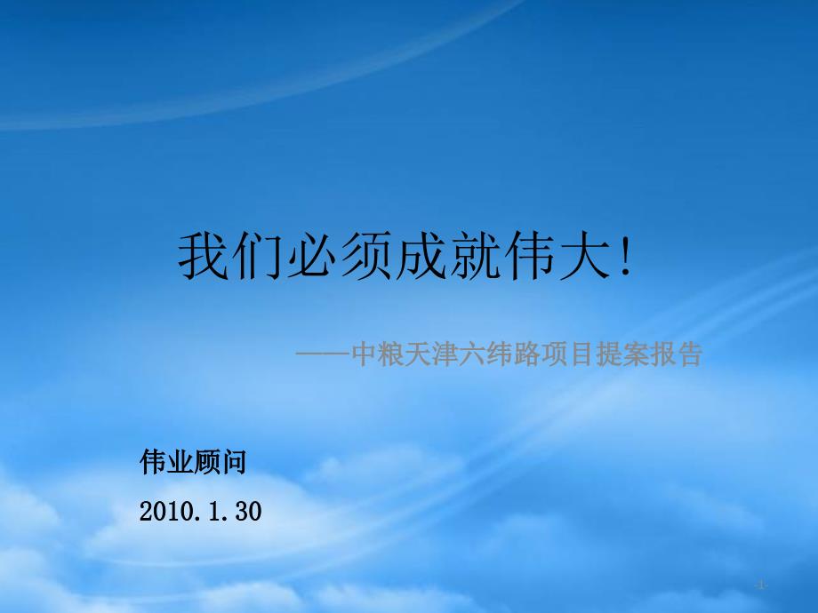 伟业顾问XXXX年中粮天津六纬路项目提案报告_第1页