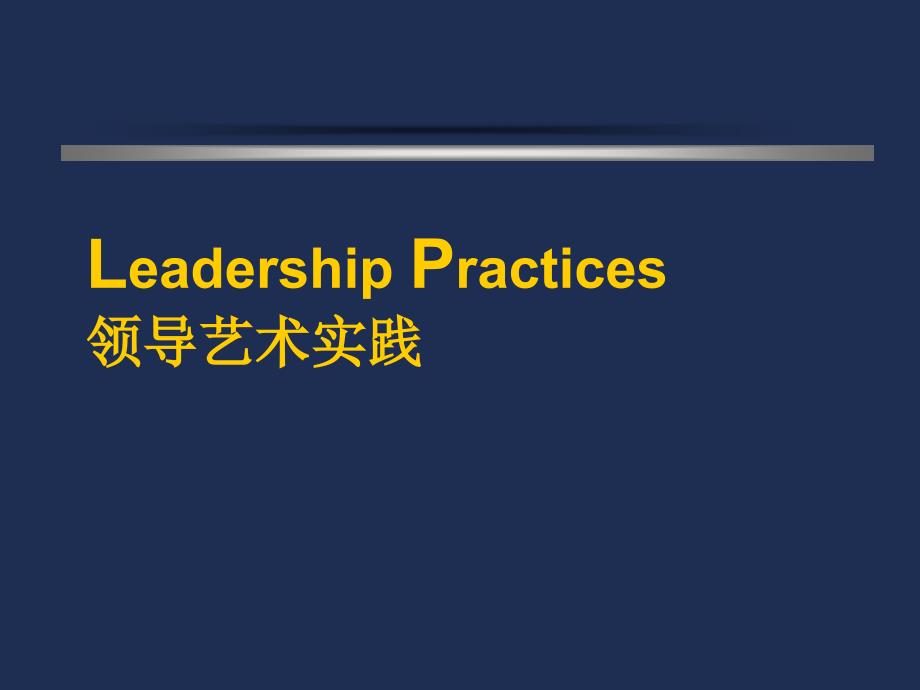 企业领导艺术实践_第1页