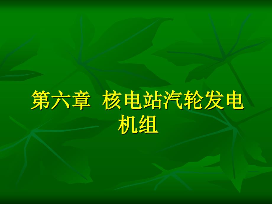 核电站汽轮发电机组6_第1页