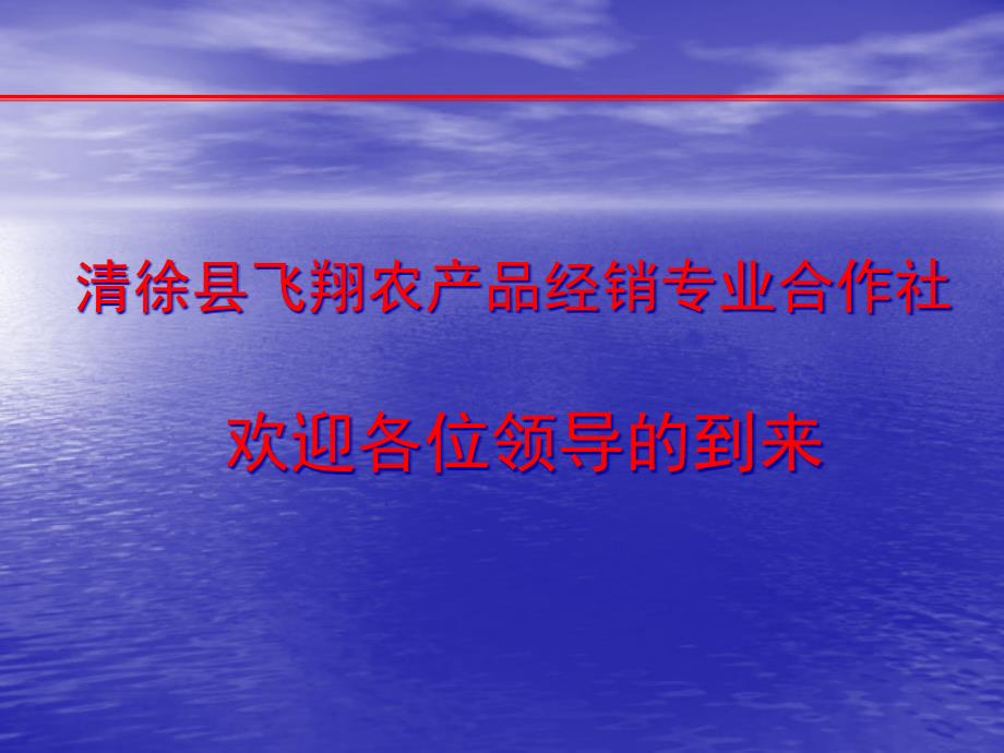 农产品分销配送管理系统建设项目_第1页