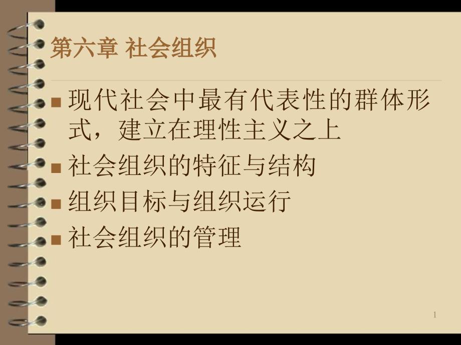 第六章社会组织_第1页