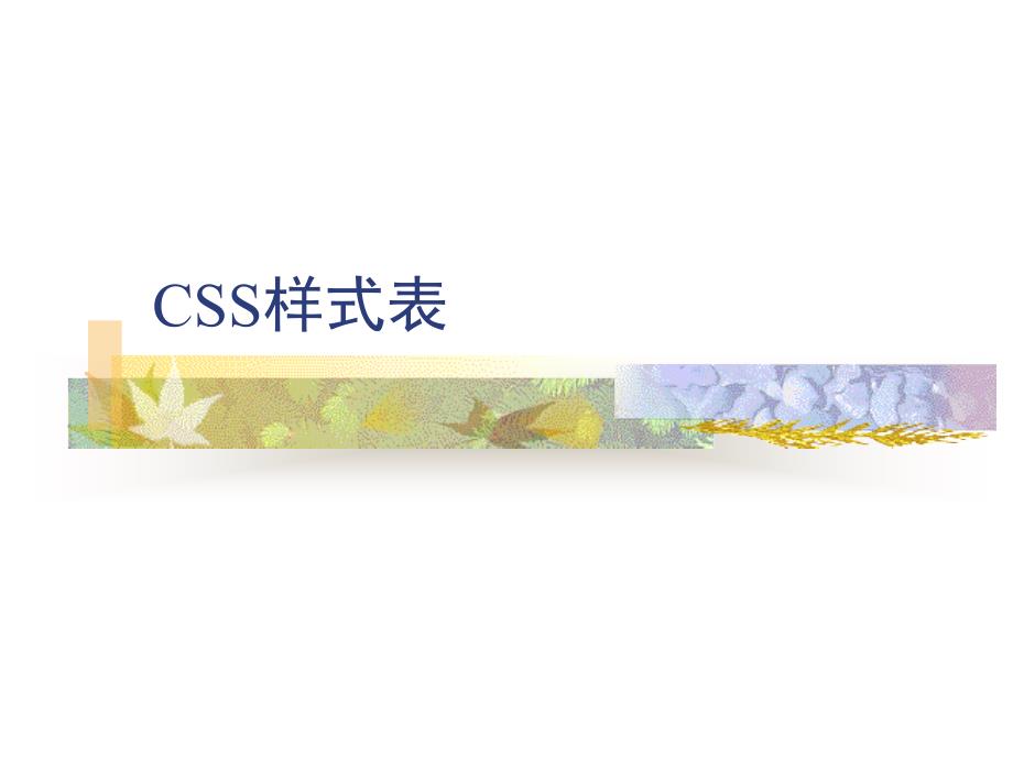 CSS样式表15331_第1页