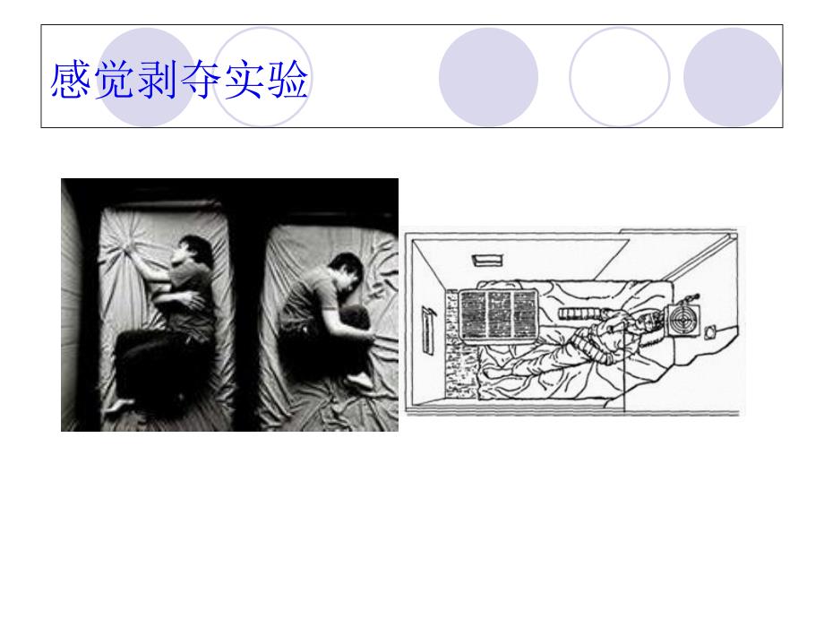 二感觉知觉课件_第1页