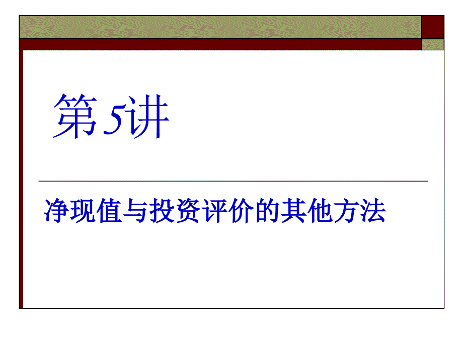 净现值与投资评价的其他方法概述_第1页