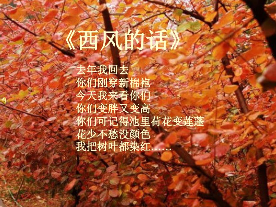 《西风的话》介绍-1_第1页