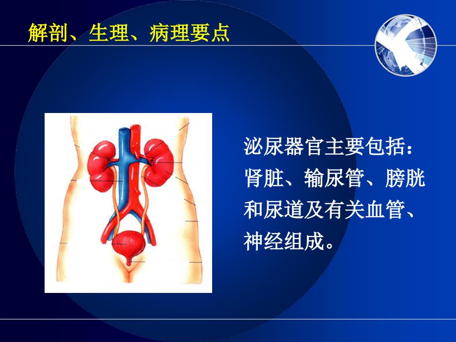 医学ppt课件肾内科相关基础知识_第1页