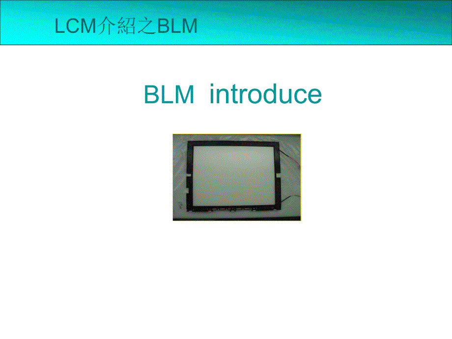 LCM介绍之BLM(精品)_第1页