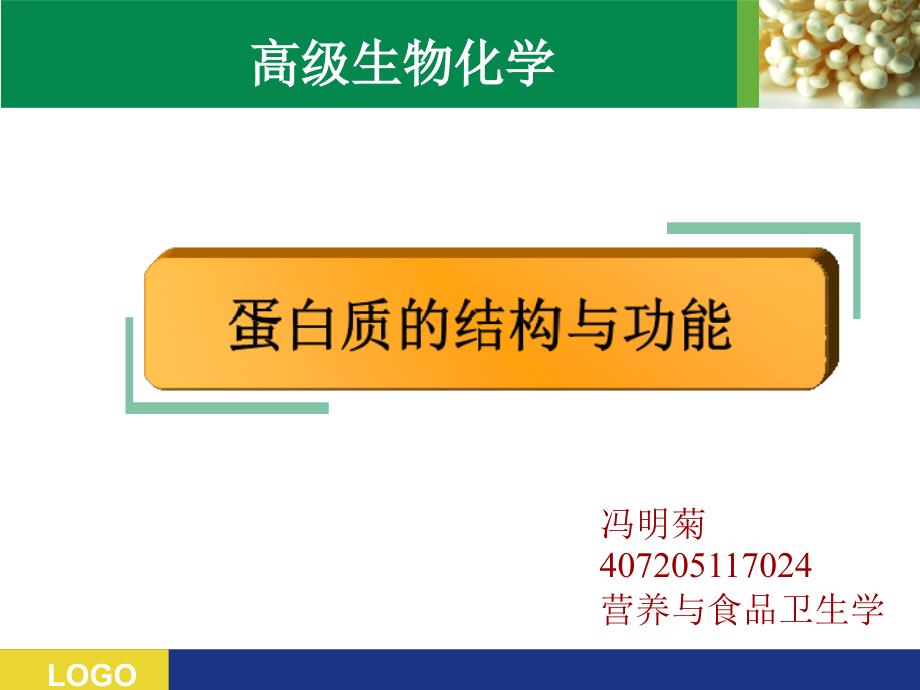 蛋白质结构与功能PPT.ppt_第1页