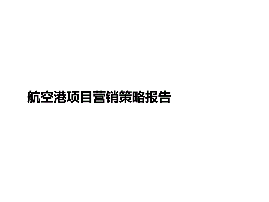 空港项目营销策略报告_第1页