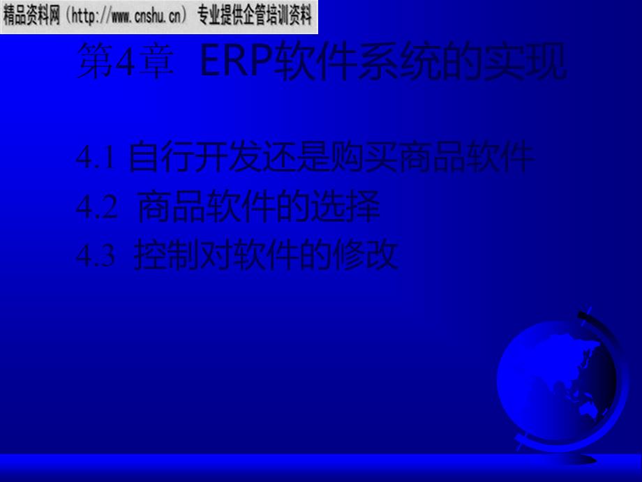 ERP软件系统的选择与修改_第1页