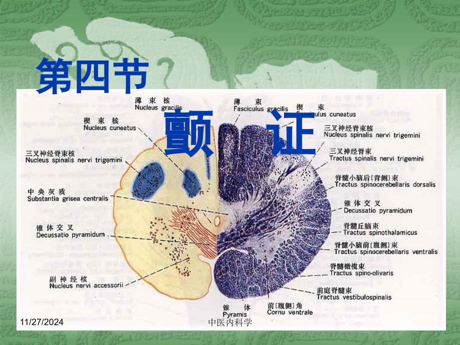 中医内科学第四节颤证课件_第1页