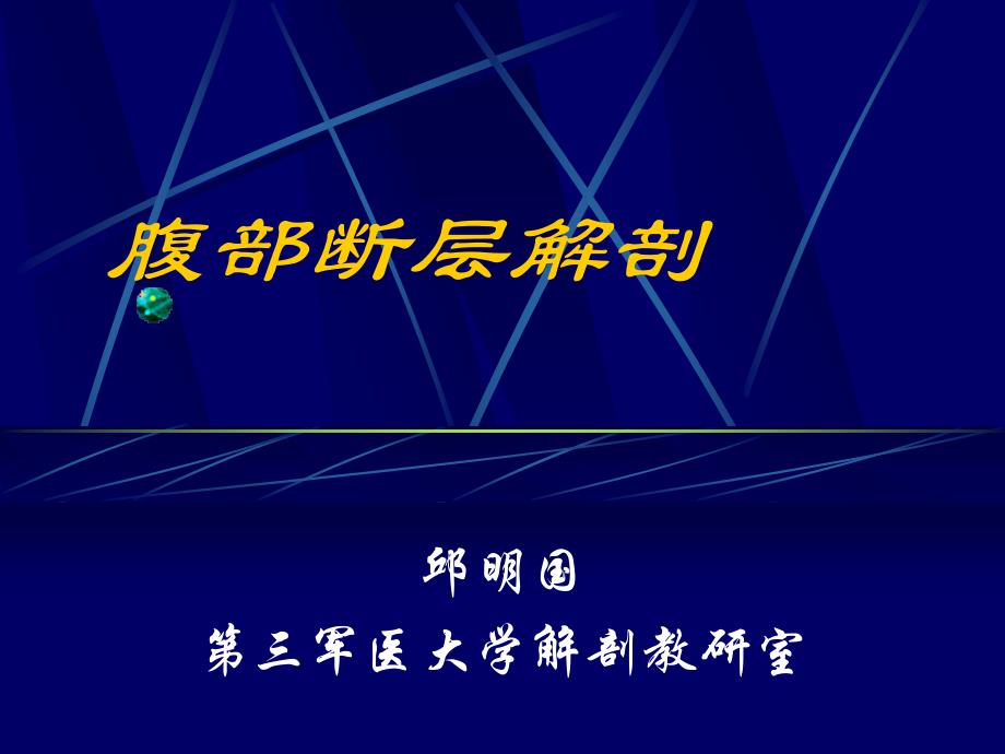 腹部断层解剖_第1页