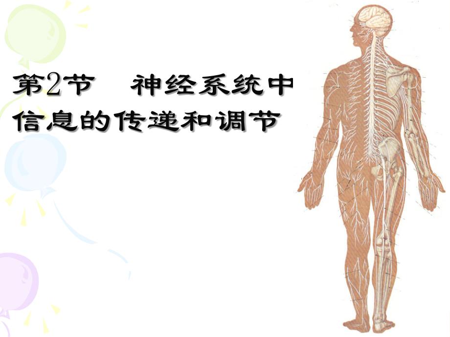 神经系统中信息的传递和调节_第1页