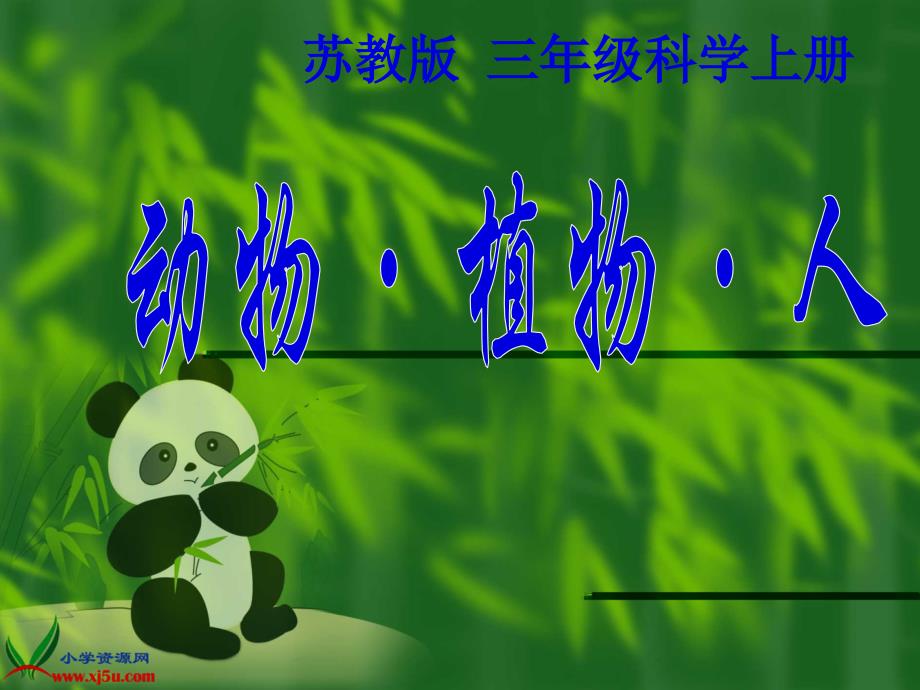 动物植物人》PPT课件_第1页