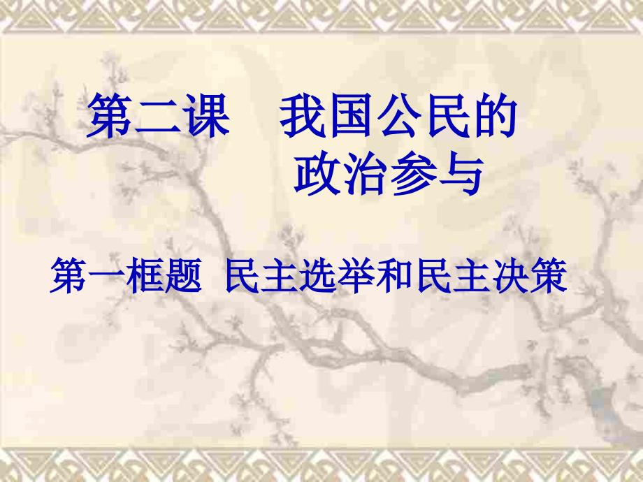 第二课我国公民的政治参与民主选举与民主决策_第1页