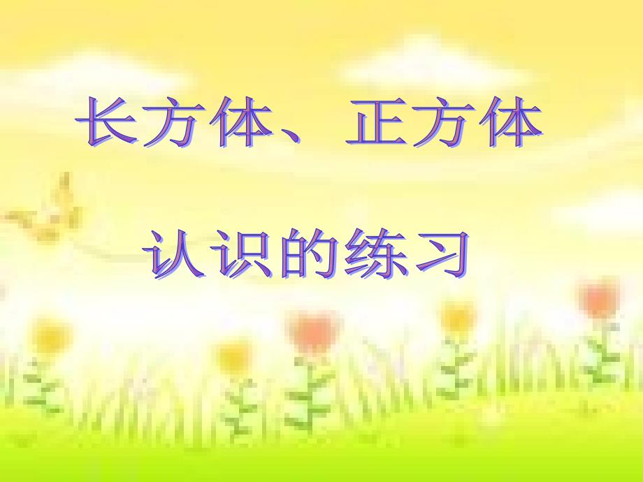 認(rèn)識(shí)長(zhǎng)方體和正方體練習(xí)課_第1頁(yè)