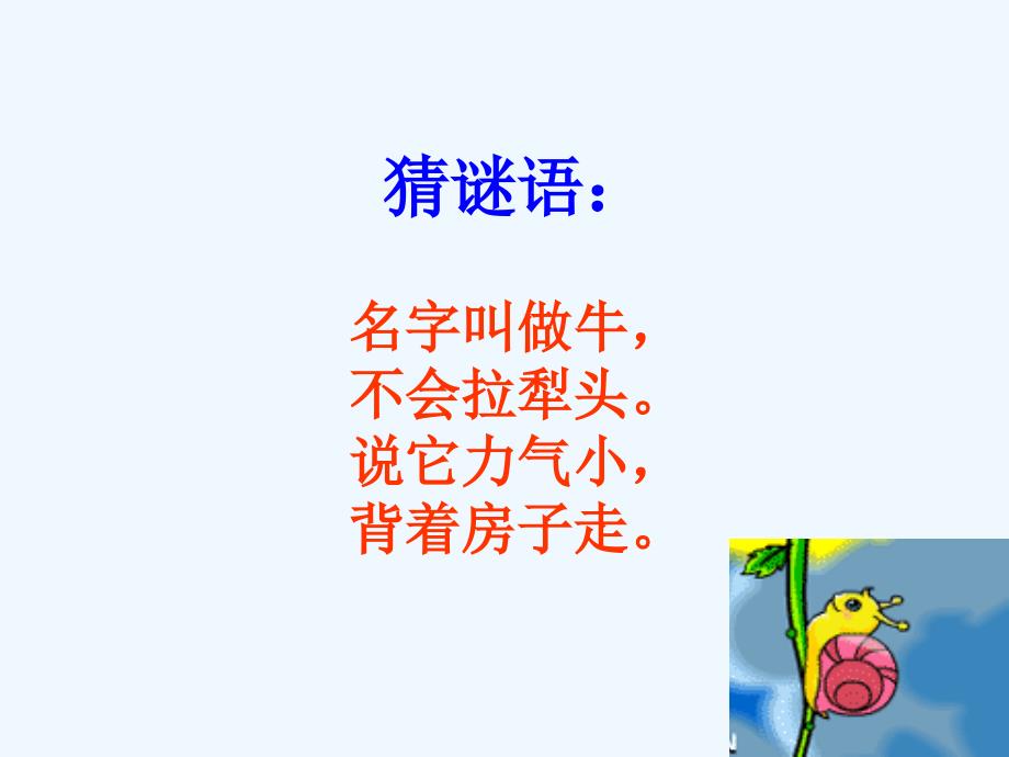 《蜗牛与黄鹂鸟》课件3_第1页