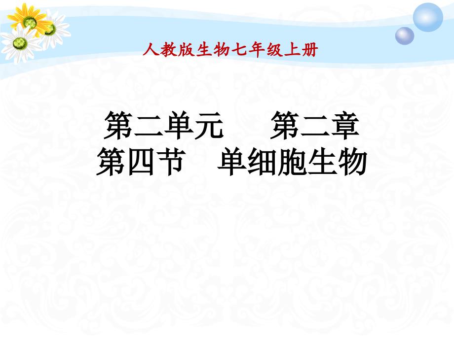 单细胞生物共25张通用PPT课件_第1页