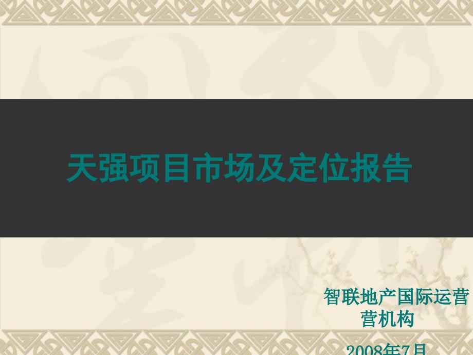 某项目市场与目标定位报告_第1页