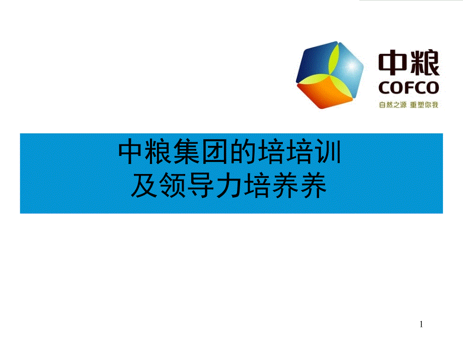 某集團(tuán)的培訓(xùn)及領(lǐng)導(dǎo)力培養(yǎng)教材_第1頁