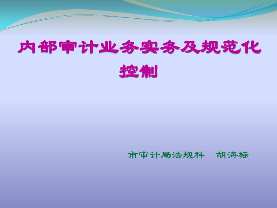 内部审计业务实务及规范化控制培训课件_第1页