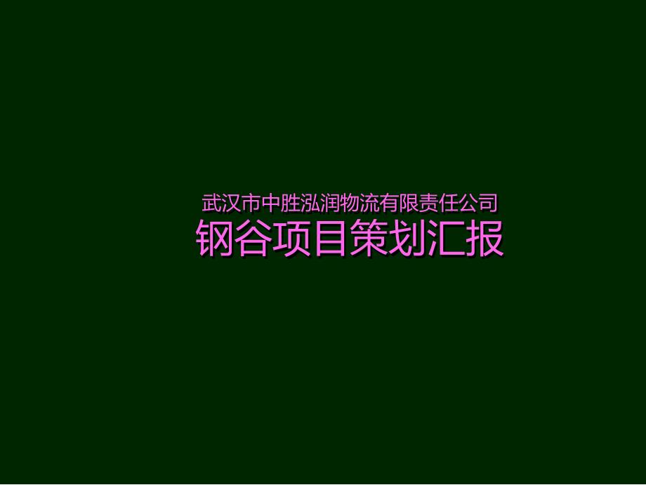 国际物流园项目策划汇报_第1页