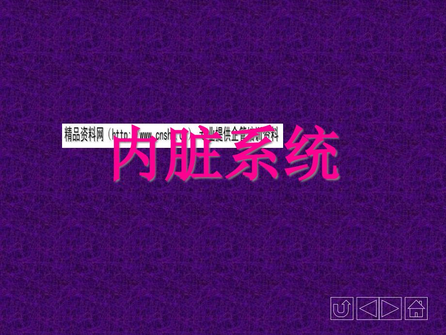 内脏系统与消化系统教学资料_第1页